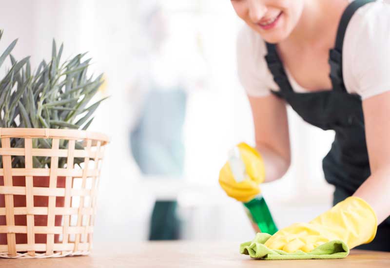 Cleaning Service