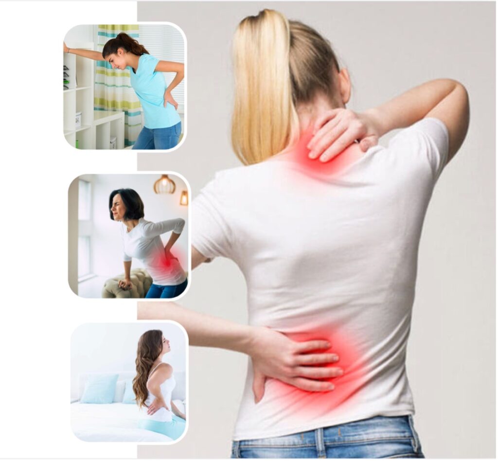 back pain back pain