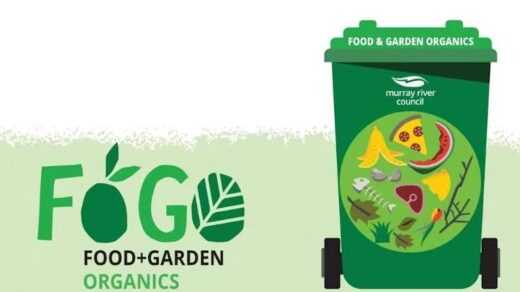 food waste