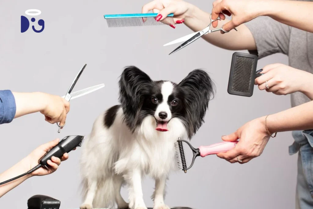 Pet Grooming
