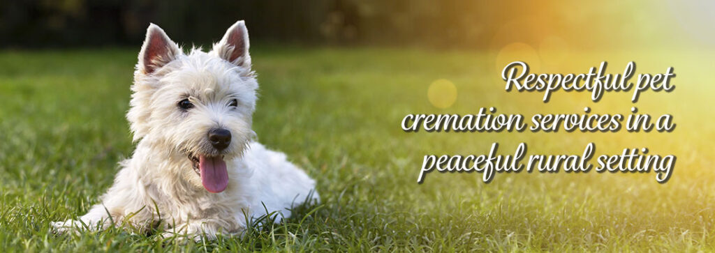Pet Cremation Services