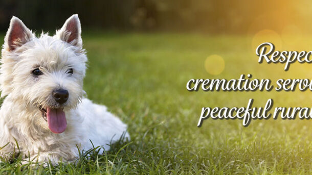 Pet Cremation Services